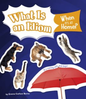 What_Is_an_Idiom_When_It_s_at_Home_