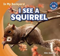 I_See_a_Squirrel