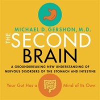 The_Second_Brain