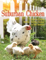 The_Suburban_Chicken