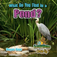 What_Do_You_Find_In_A_Pond_