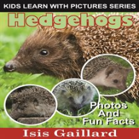 Hedgehogs_Photos_and_Fun_Facts_for_Kids