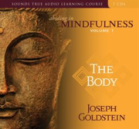 Abiding_in_Mindfulness__Volume_1