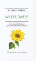 An_instant_guide_to_wildflowers