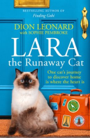 Lara_The_Runaway_Cat