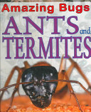 Ants_and_termites