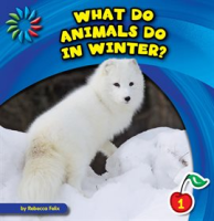 What_Do_Animals_Do_in_Winter_
